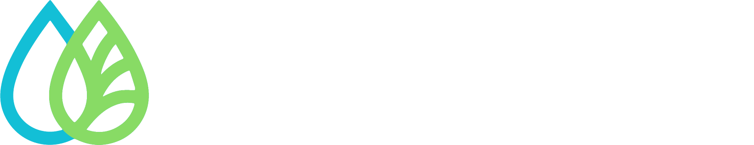 WashyWash